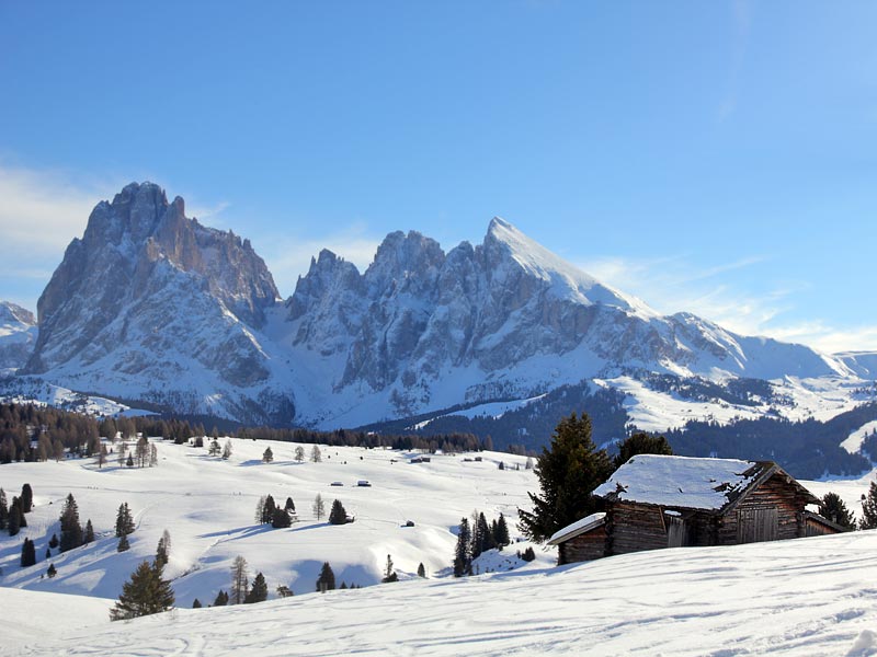 ������� ���������: ���������� ���������. �������� �����-��-�����