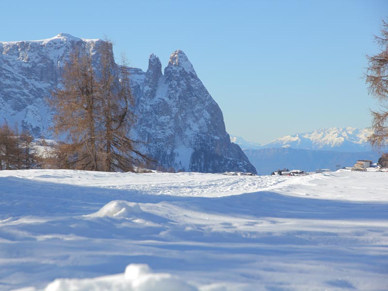 ������� ���������: ���� �������. ��������