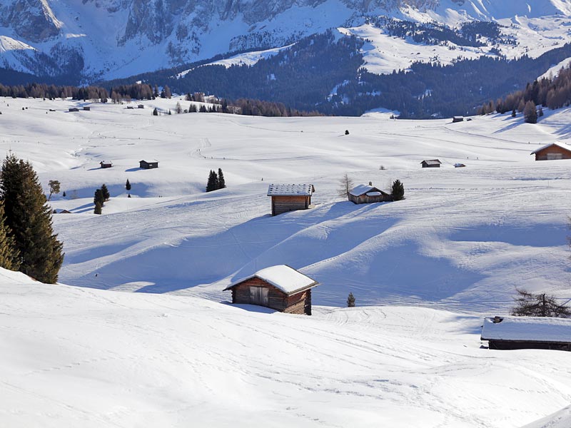 ������� ���������: �������� ���������. �����-��-�����