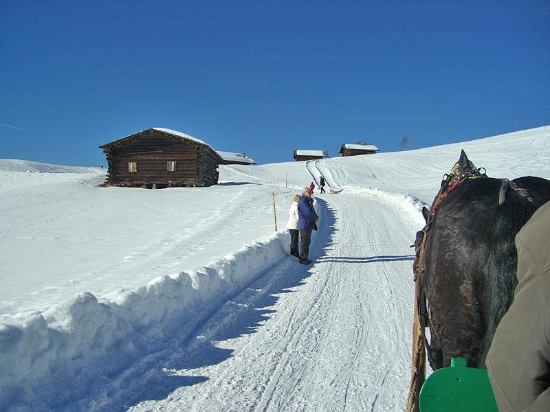 ������� ���������: ���������� ��������. ��� ���-������ � �������� ��������