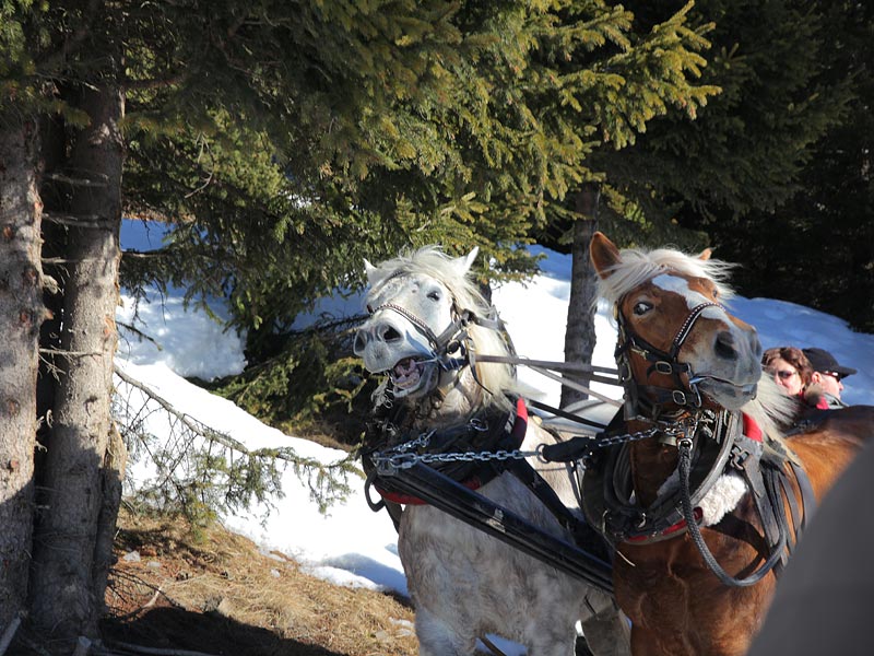 ������� ���������: ��������� ��������. �� ����� ������ ���������