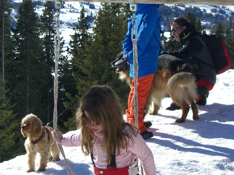 ������� ���������: ���� � ������� �� ���������� �������. � ����������