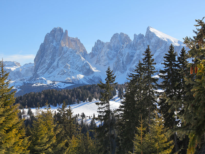 ������� ���������: ��� ������� ������������� � ���. ����������