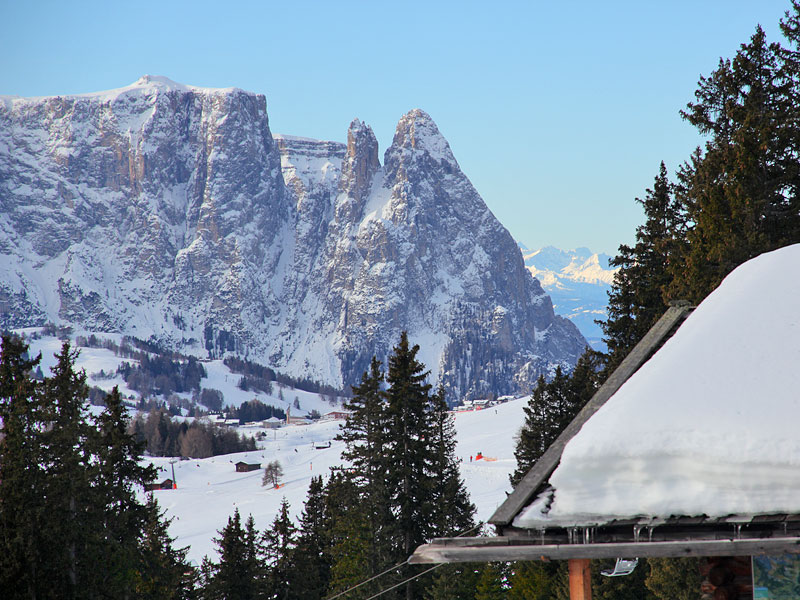 ������� ���������: ���� �������. �������� �����-��-�����