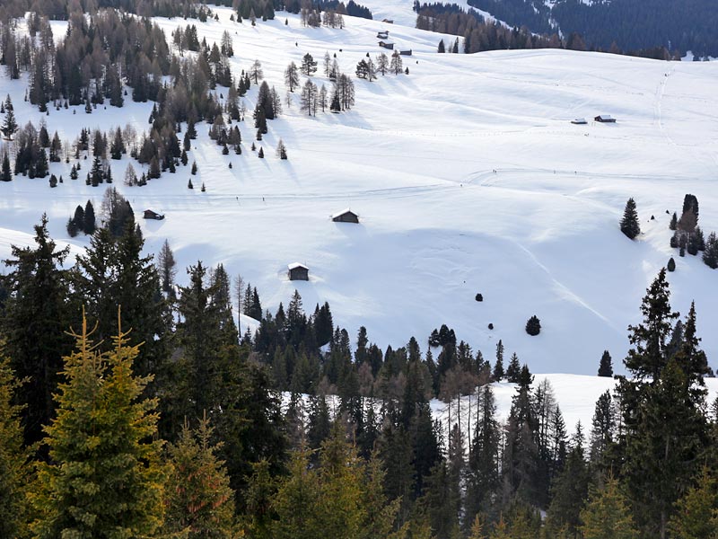 ������� ���������: �����-��-�����. �������� �������