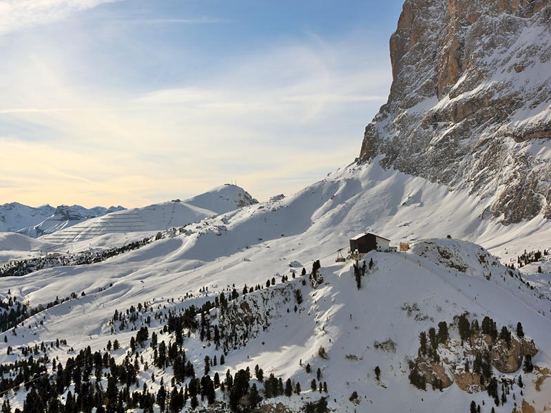 ������� ���������: ��������. ������ ����