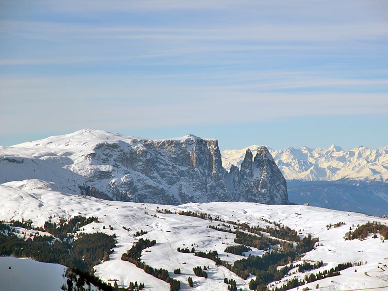 ������� ���������: ������� ����. ��������, ����-�������