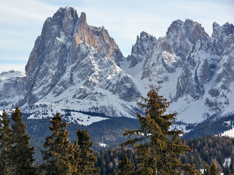 ������� ���������: ������ ������ ���. ����������