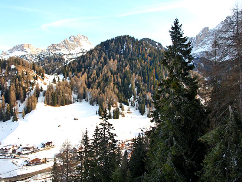 ������� ���������: ����-������� �����. ������ �� ��������