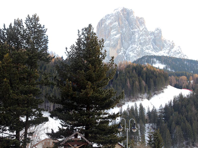 ������� ���������: ��� �� �� ���� � ����� � �����. ���������� � �����-��������