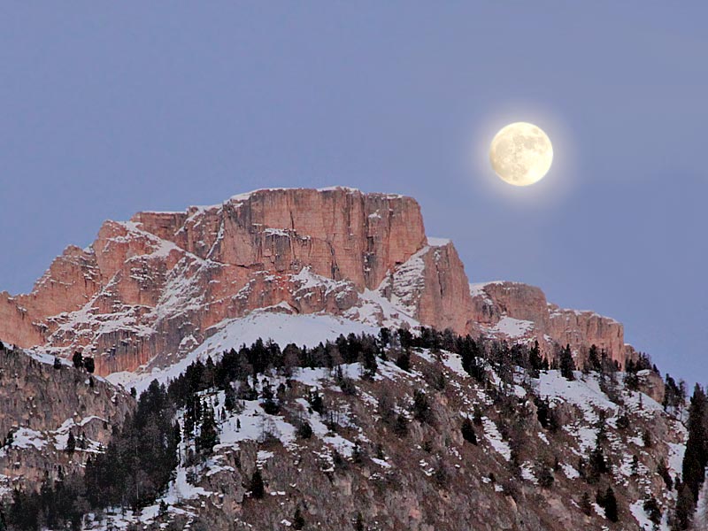 ������� ���������: ������ ������. ����-�������