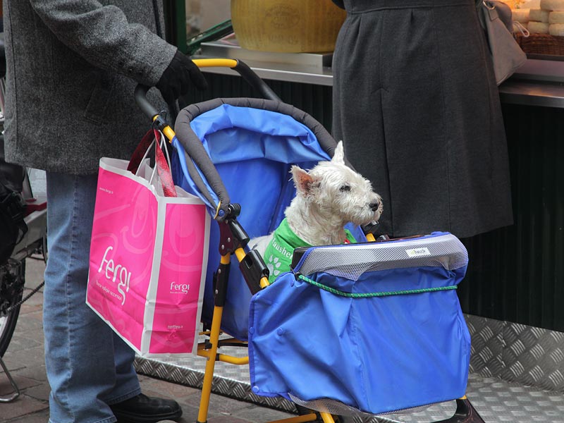 ������� ���������: ������� � ����������� �������. �� �����