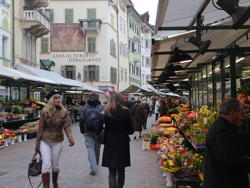 ������� ���������: ��������� �����. ��������