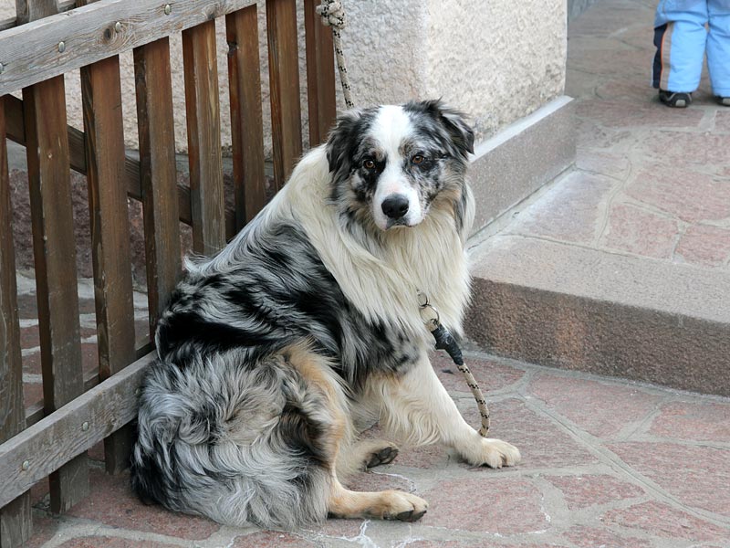 ������� ���������: ������ ���������. ������ ���