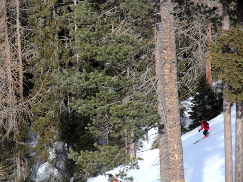 ������� ���������: �� ������ �������. �����������