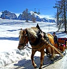 ������� �� �����