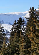 ��������� ����� �� �����