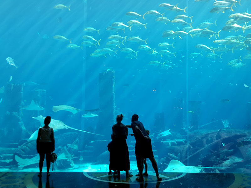 ������� ���������: ���� ���������� ���. ����������