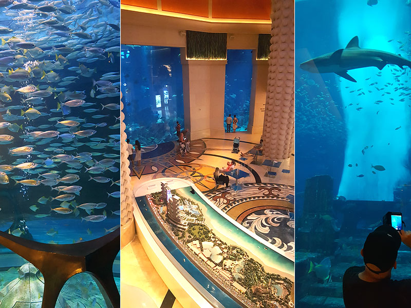 ������� ���������: �����, ������ � �������. ���������� � ���������