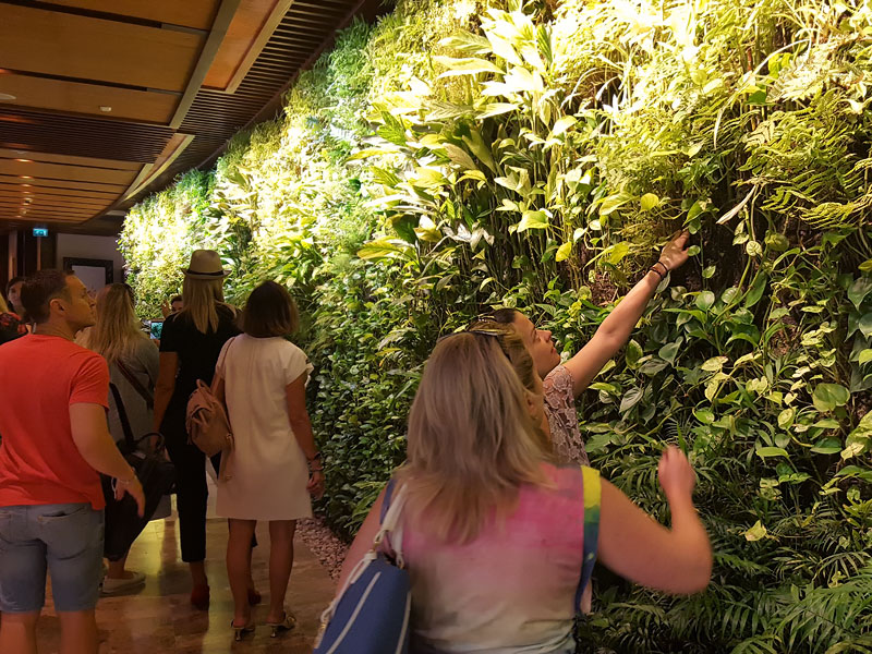 ������� ���������: ������ ������. �����