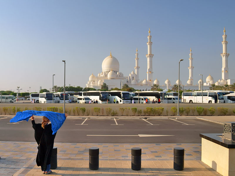 ������� ���������: ���� �� �������. ������ ����� �����