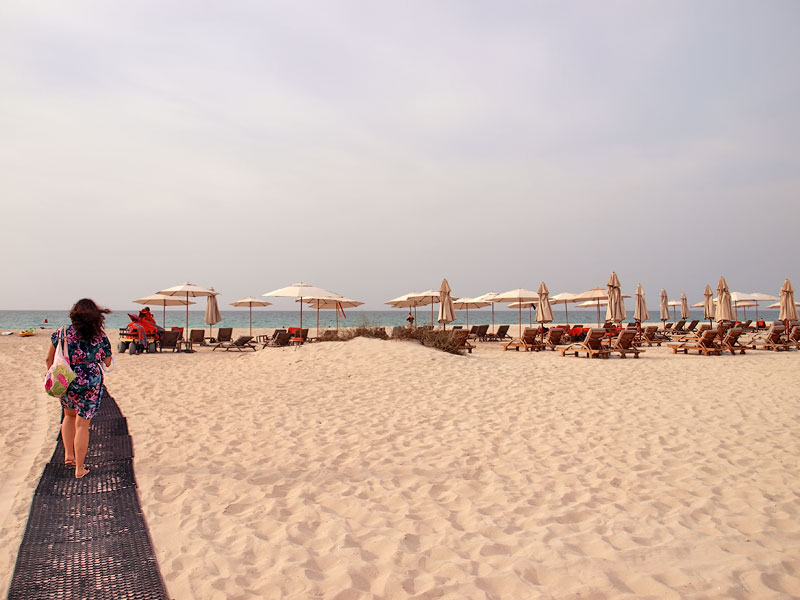 ������� ���������: Saadiyat Rotana. ����