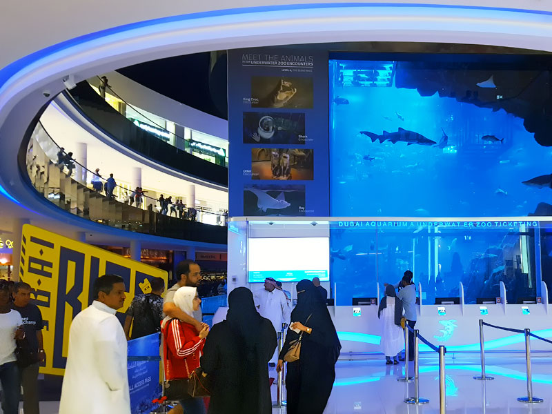 ������� ���������: �������� �� ����� �������. �����-����