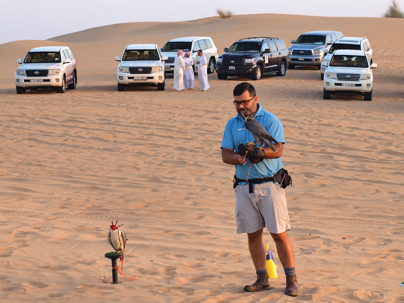 ������� ���������: ��������� �����, ������� ������ ������. �������