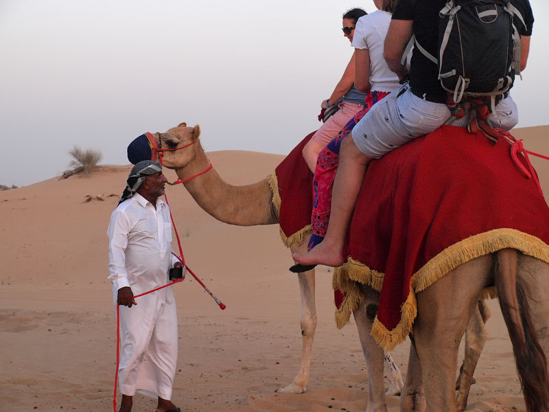 ������� ���������: ������� �� ���������. ��������