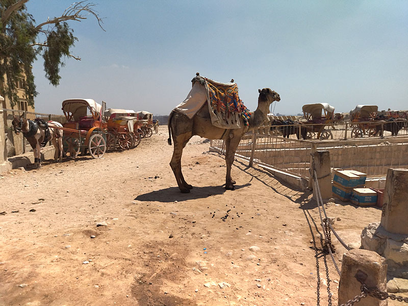 ������� ���������: �������� � ����. ����� ����