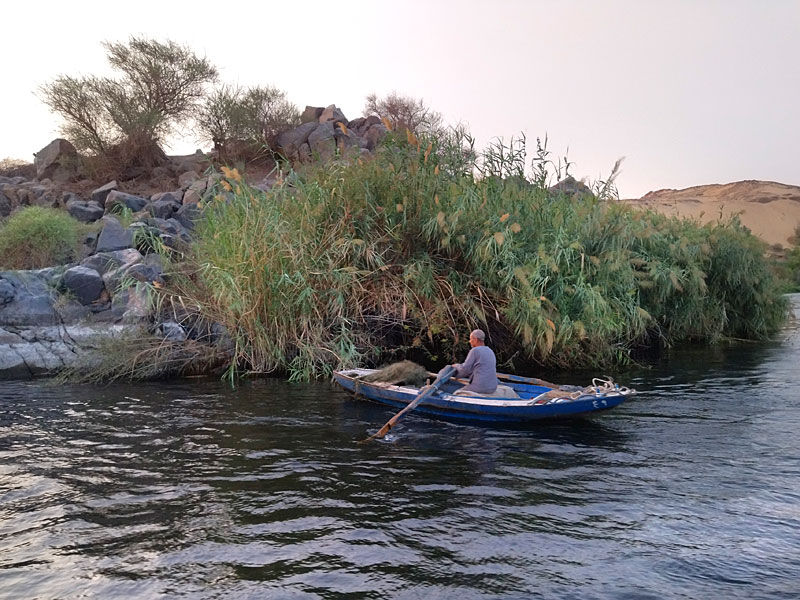 ������� ���������: ������ �� ����. ����