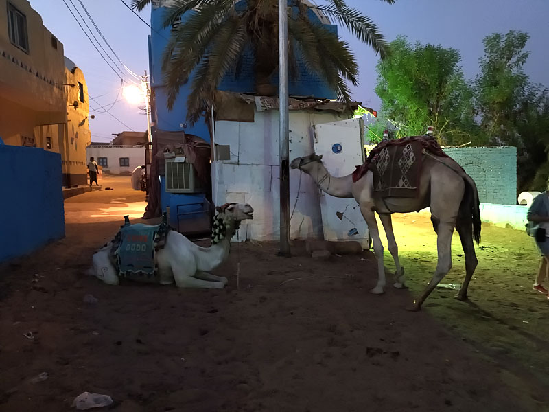 ������� ���������: �������. ��������� �������