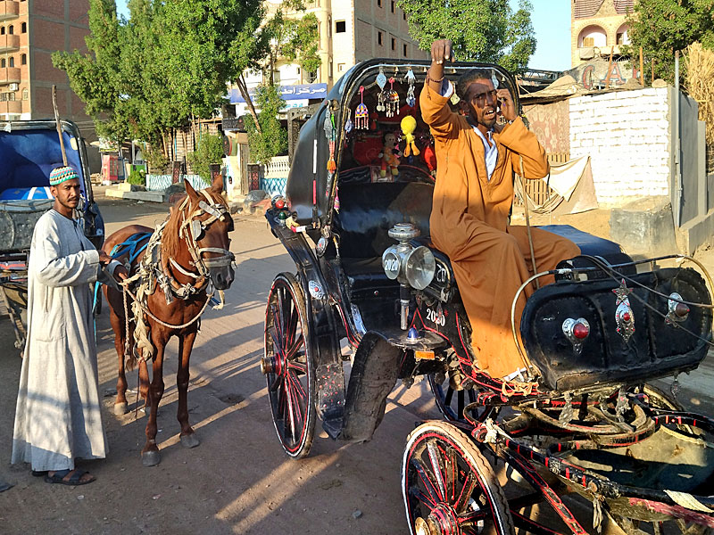 ������� ���������: ���������� � �������. ����