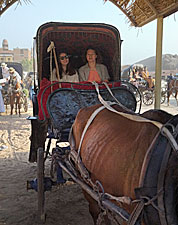 ������� ���������