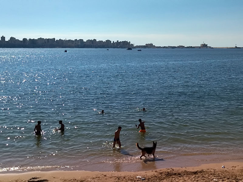 ������� ���������: ������ ������� � ������. �� ������ ������