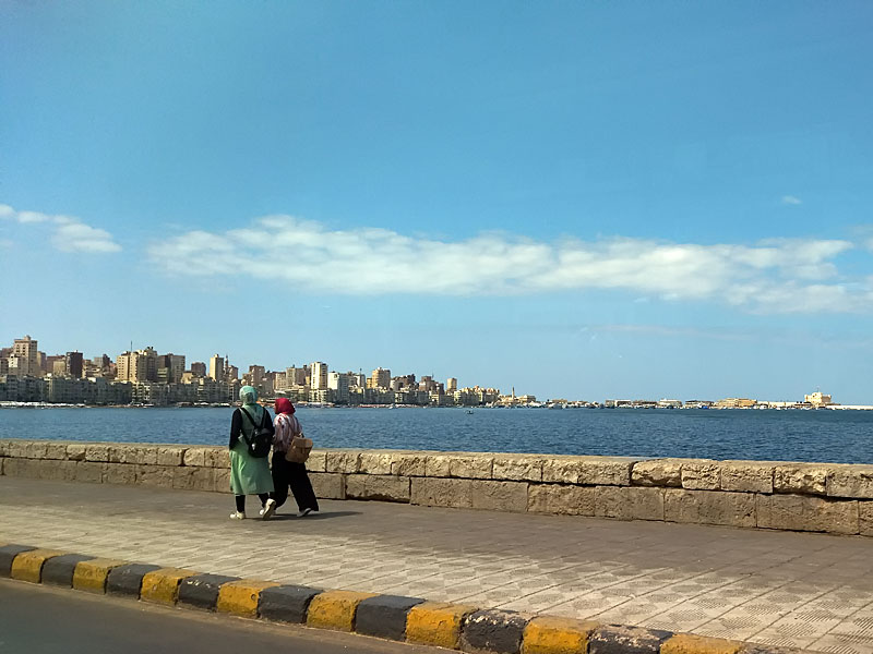 ������� ���������: ������� ���������������������. ���������� ������