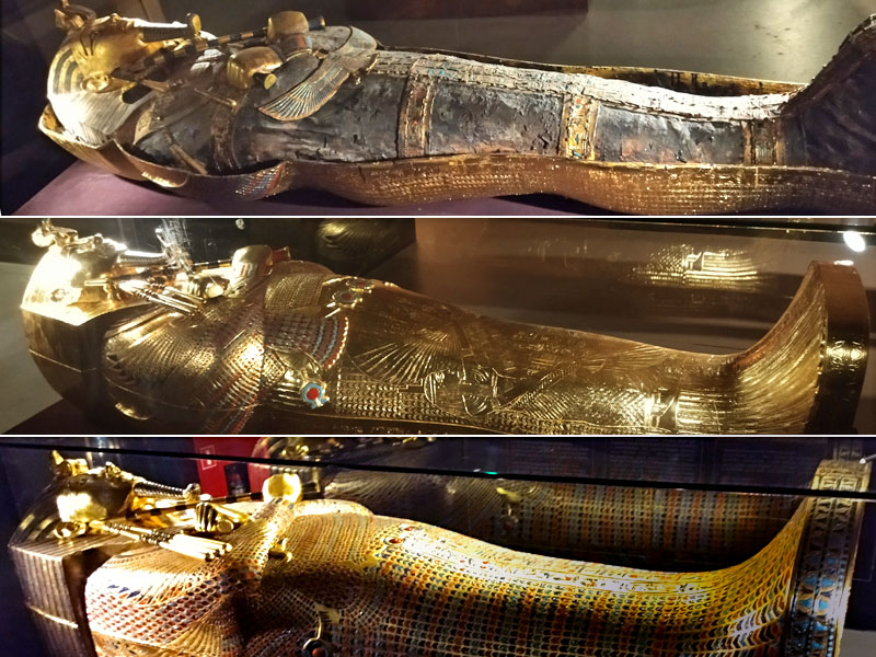 ������� ���������: ���������. ����������