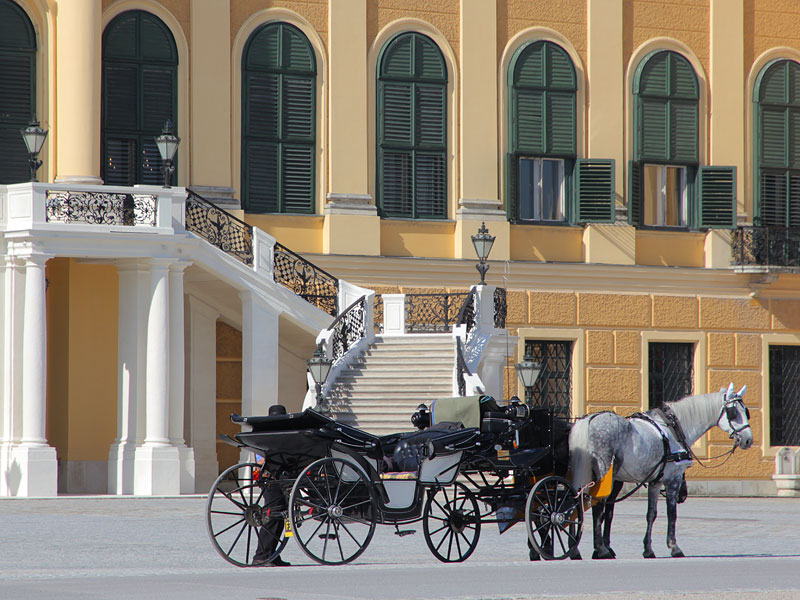 ������� ���������: � ��������� ��������. ������ ظ������