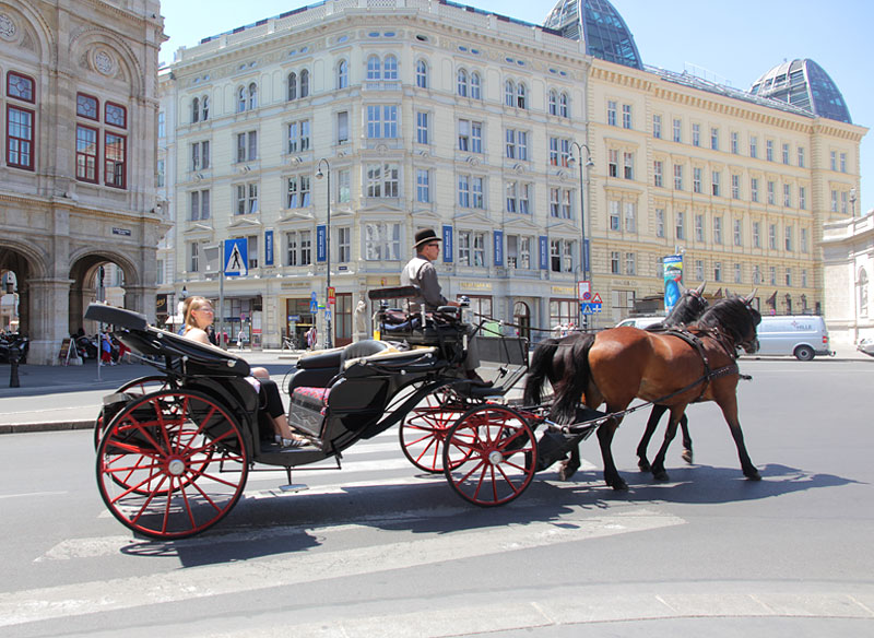 ������� ���������: �� �������. ��������� �� ����