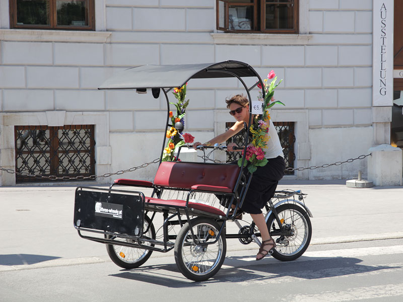 ������� ���������: ���������. ��������� �� ����