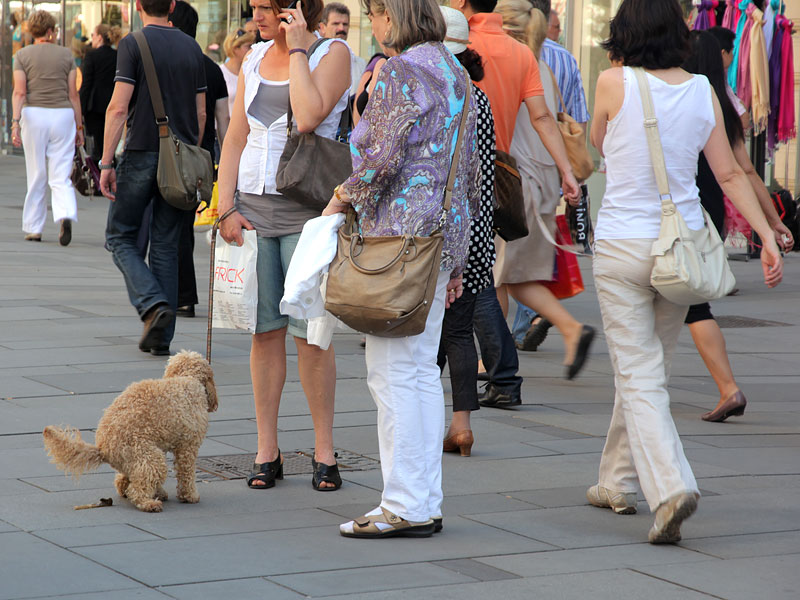 ������� ���������: �������� ������ �� ����� ������. ��������� �� ����