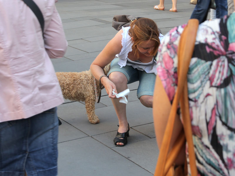 ������� ���������: �� ����� ������. �������