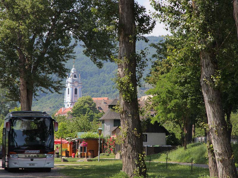 ������� ���������: ���������. ������ �����