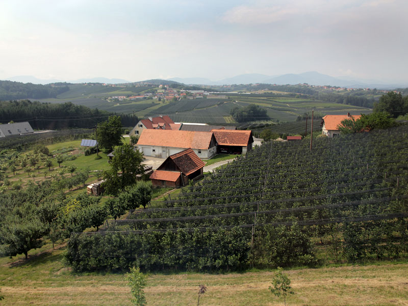 ������� ���������: �������� ����. ������