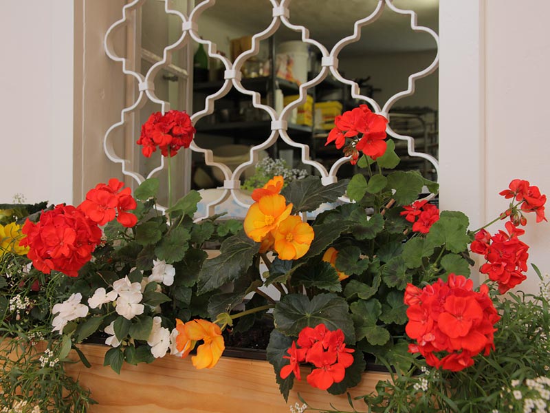 ������� ���������: �������, ��� �� �����������. ������