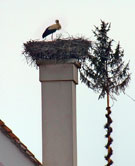 ���� � ������� ������