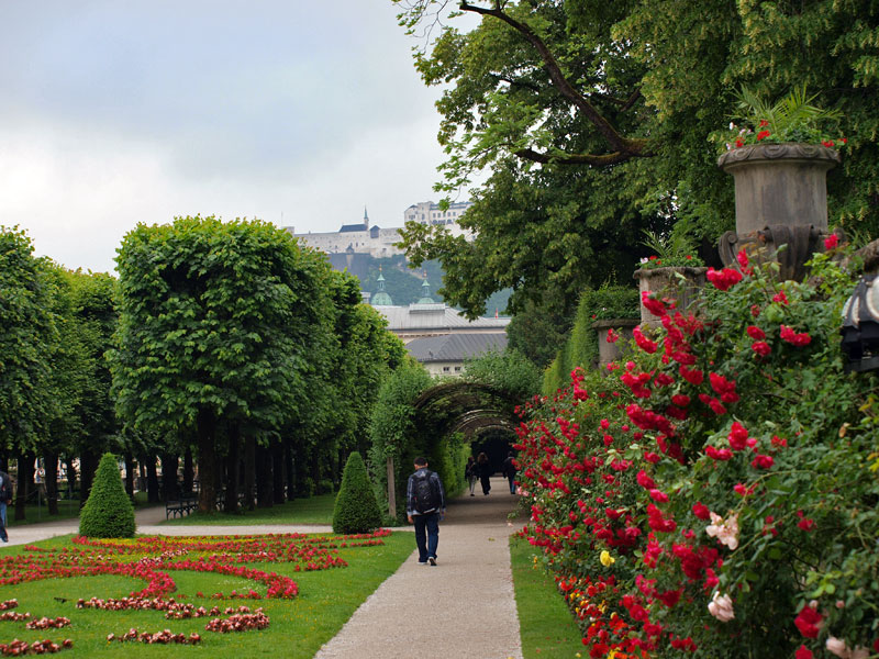 ������� ���������: ���� ��������. ���������