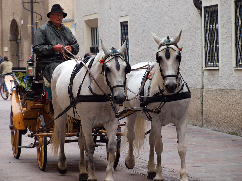 ������� ���������: ����� ����������� � �������. ���������, ����� �������