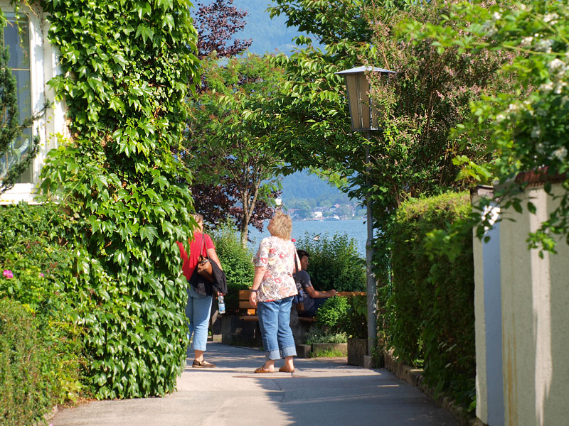 ������� ���������: ������ ������ �������� � ������. ����� ������������