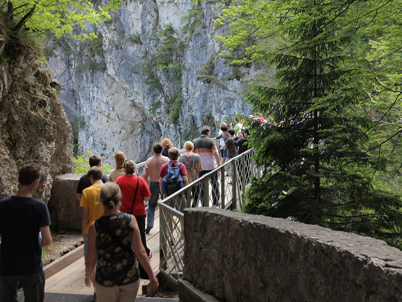 ������� ���������: �� ����� ���������� ������ ������. ���� ������������